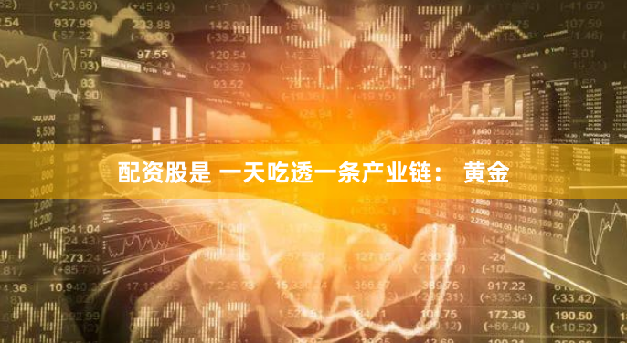 《专业配资网》深度调查：市场现状、风险警示与用户画像全解析