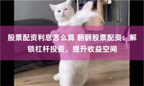 长虹配资